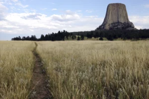 rock-climber-death-devils-tower